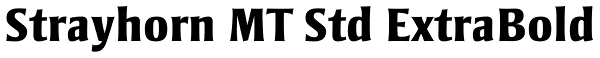 Strayhorn MT Std ExtraBold Font