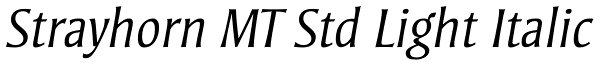 Strayhorn MT Std Light Italic Font