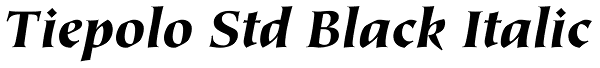 Tiepolo Std Black Italic Font