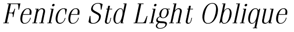 Fenice Std Light Oblique Font