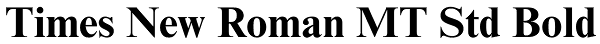 Times New Roman MT Std Bold Font