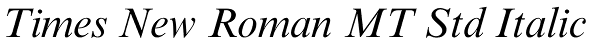 Times New Roman MT Std Italic Font