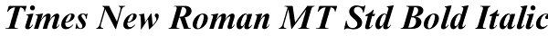 Times New Roman MT Std Bold Italic Font