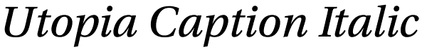 Utopia Caption Italic Font