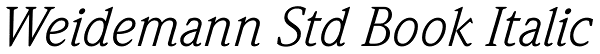 Weidemann Std Book Italic Font