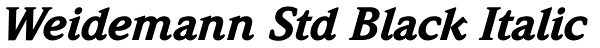 Weidemann Std Black Italic Font