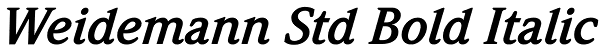 Weidemann Std Bold Italic Font