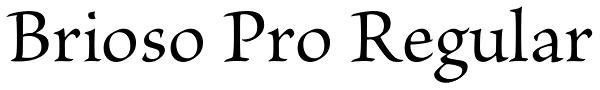 Brioso Pro Regular Font