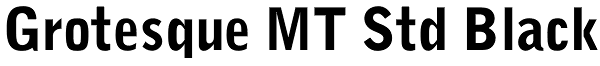 Grotesque MT Std Black Font