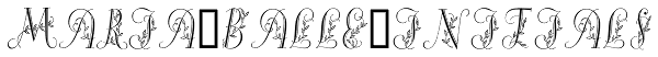Maria-Balle-Initials Font