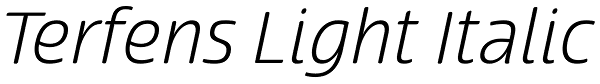 Terfens Light Italic Font
