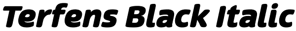 Terfens Black Italic Font