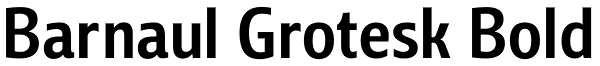 Barnaul Grotesk Bold Font