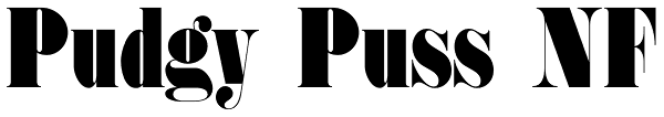 Pudgy Puss NF Font