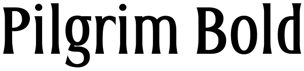 Pilgrim Bold Font