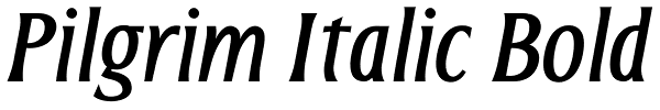 Pilgrim Italic Bold Font