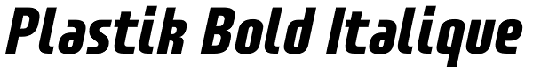 Plastik Bold Italique Font