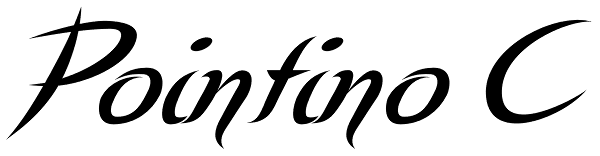 Pointino C Font