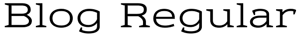 Blog Regular Font