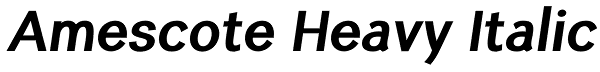 Amescote Heavy Italic Font