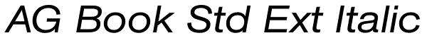 AG Book Std Ext Italic Font