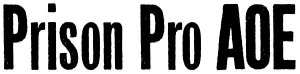 Prison Pro AOE Font