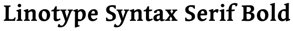 Linotype Syntax Serif Bold Font