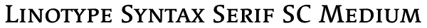Linotype Syntax Serif SC Medium Font
