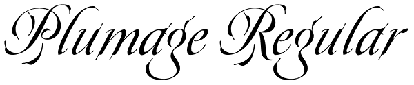 Plumage Regular Font