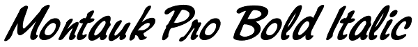 Montauk Pro Bold Italic Font