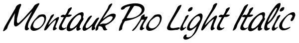 Montauk Pro Light Italic Font