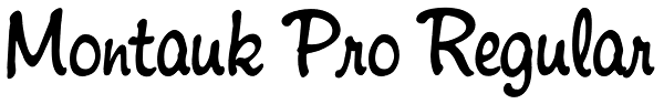 Montauk Pro Regular Font