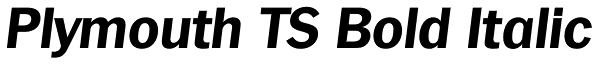 Plymouth TS Bold Italic Font