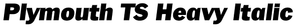 Plymouth TS Heavy Italic Font