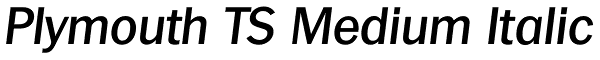 Plymouth TS Medium Italic Font