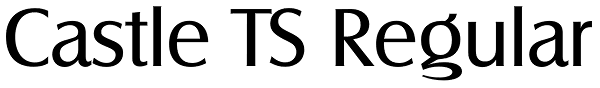 Castle TS Regular Font