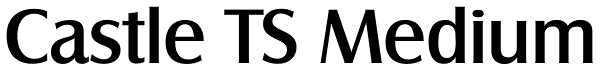 Castle TS Medium Font