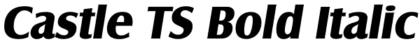 Castle TS Bold Italic Font