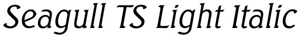 Seagull TS Light Italic Font