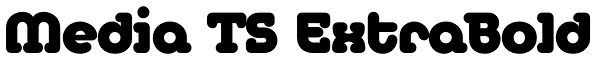 Media TS ExtraBold Font