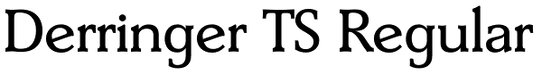 Derringer TS Regular Font