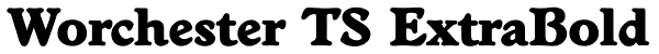 Worchester TS ExtraBold Font