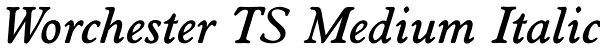 Worchester TS Medium Italic Font