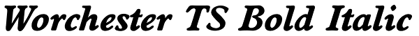 Worchester TS Bold Italic Font