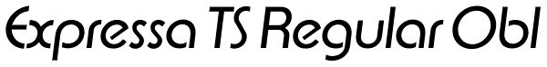 Expressa TS Regular Obl Font