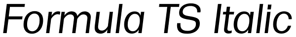 Formula TS Italic Font