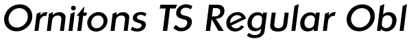 Ornitons TS Regular Obl Font