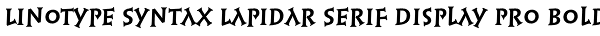 Linotype Syntax Lapidar Serif Display Pro Bold Font