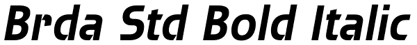 Brda Std Bold Italic Font