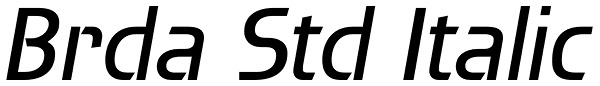 Brda Std Italic Font